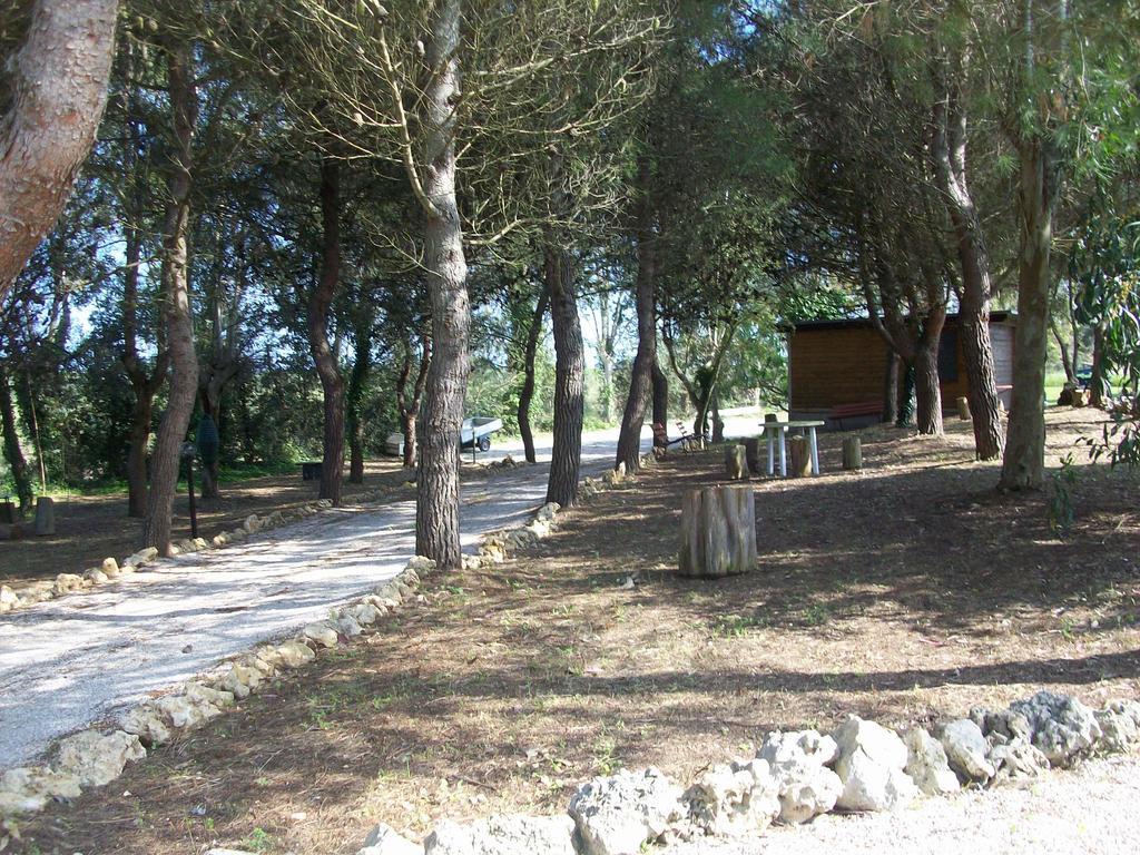 Appartamenti Turistici Aprile Antonio Luigi Borgagne Exterior photo